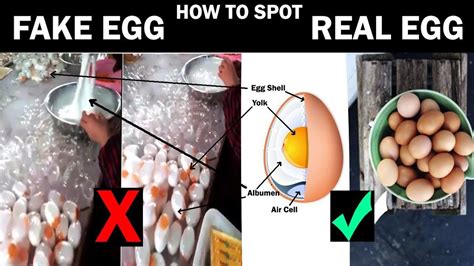 Plastic Chicken Eggs, How Fake Eggs Are Made? How to Spot Plastic Eggs ...