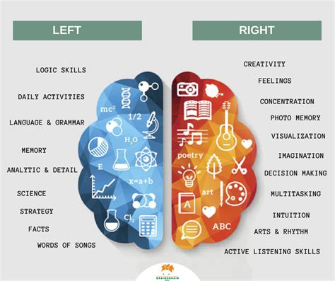 INTEGRATING THE TWO HEMISPHERES OF THE BRAIN – Brainobrain Czech