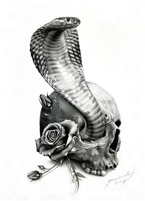 Animal Drawing - Cobra by Miro Gradinscak | Cobra art, Cobra tattoo ...