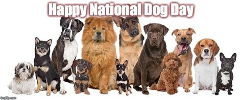 Funny National Dog Day Dog National International Hug 2021 Happiness ...