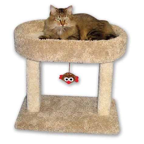 Beatrise Kitty 21 in. Oval Cozy Perch Cat Tree | Cat tree condo, Cat ...