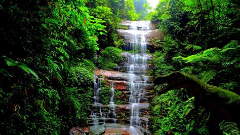 🔥 [40+] HD Waterfall Wallpapers 1080p | WallpaperSafari