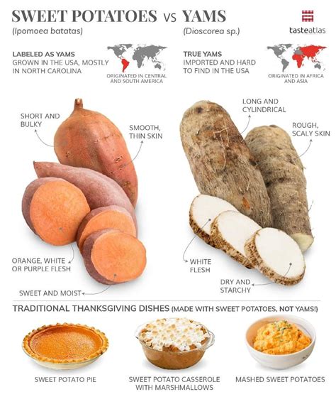 Yams vs sweet potatoes here s the difference – Artofit