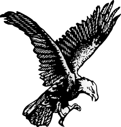 clipart soaring eagle 10 free Cliparts | Download images on Clipground 2024