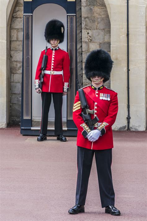 Buckingham Palace guard Stock Photo 01 free download