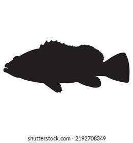 Grouper Silhouette Isolated On White Background Stock Vector (Royalty ...