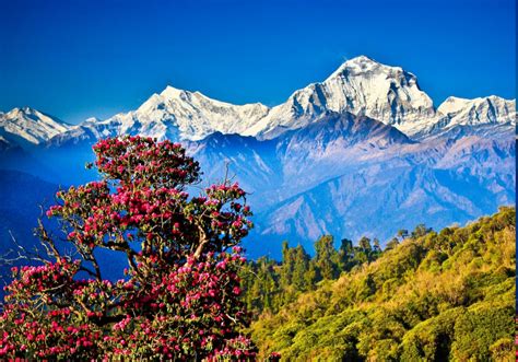 Himalayas Desktop Wallpapers - Top Free Himalayas Desktop Backgrounds ...