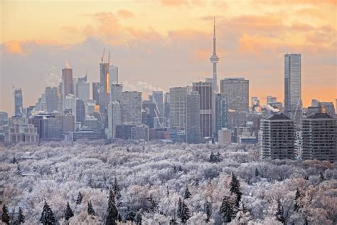 24 Fun Things to Do in Toronto in the Winter - Must Do Canada