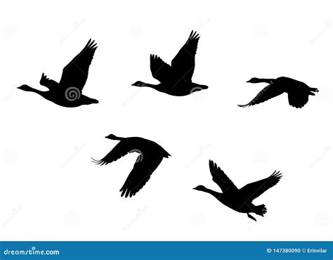 Geese In Flight Clipart People