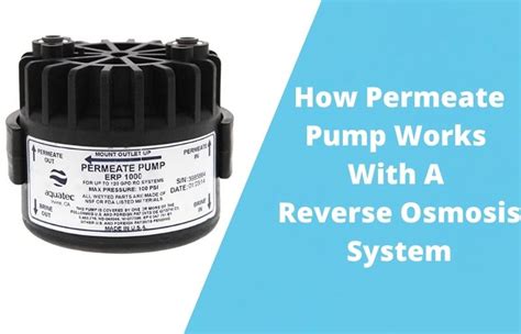 How A Permeate Pump Works With A Reverse Osmosis System – Useful ...