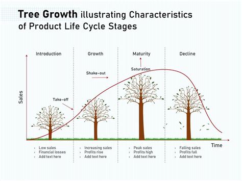 Tree Growth Illustrating Characteristics Of Product Life Cycle Stages ...