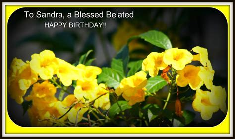 Happy Birthday, Sandra, aka fleetingglances!!! | In Proverbs… | Flickr