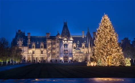 Biltmore gives special Christmas tree new life