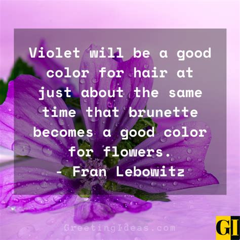 40 Best Love Violet Quotes, Sayings, and Phrases