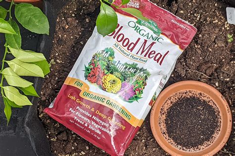 7 Reasons You Should Be Using Blood Meal Fertilizer In The Garden