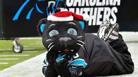 VIDEO: Remembering When the Carolina Panthers' Mascot Recovered a Punt ...