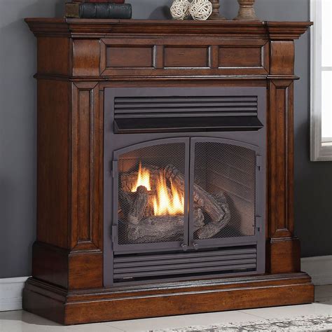 Dual Fuel Ventless Natural Gas/Propane Fireplace Propane Gas Fireplace ...