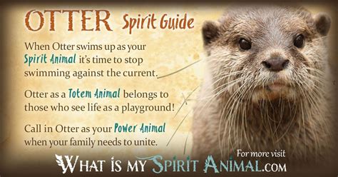 Otter Symbolism & Meaning | Spirit, Totem & Power Animal