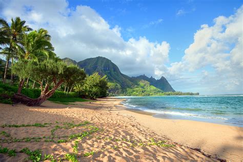 Hawaii Travel Guide