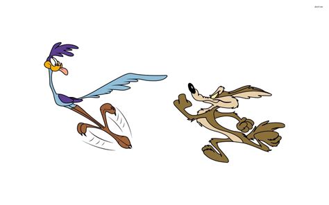 Road Runner And Wile E. Coyote wallpapers, Cartoon, HQ Road Runner And ...