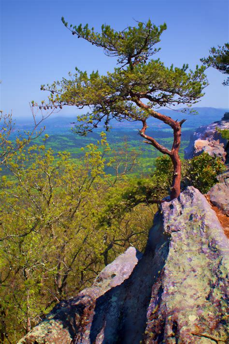 Cheaha State Park | Cheaha State Park in Delta, AL. | Mark Chandler ...