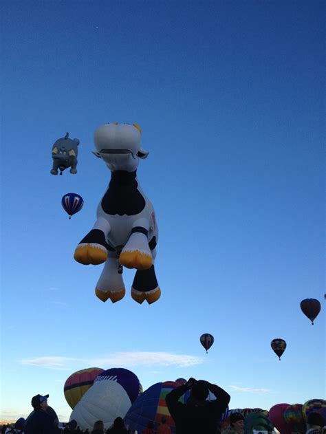 Pin by Kathy Chester-Wellner on Albuquerque Balloon Fiesta 2012 ...