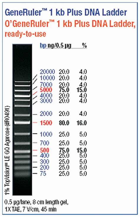 Thermo Scientific O'GeneRuler 1 kb Plus DNA Ladder, Ready-to-Use - 75 ...