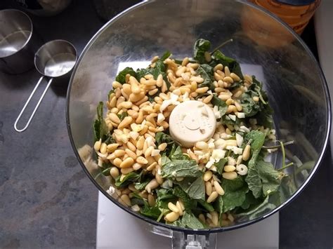 Garlic Mustard Pesto: The Perfect Recipe For Foragers - Backdoor Survival