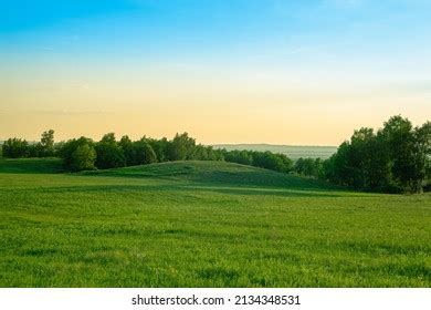 4 Meadow Grass Free Photos and Images | picjumbo