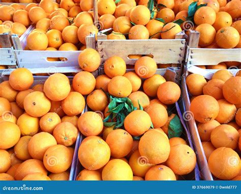 Orange Fruit On The Market Royalty Free Stock Images - Image: 37669079