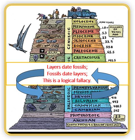 FOSSILS DATE ROCK LAYERS ROCK LAYERS DATE FOSSILS (CIRCULAR REASONING ...