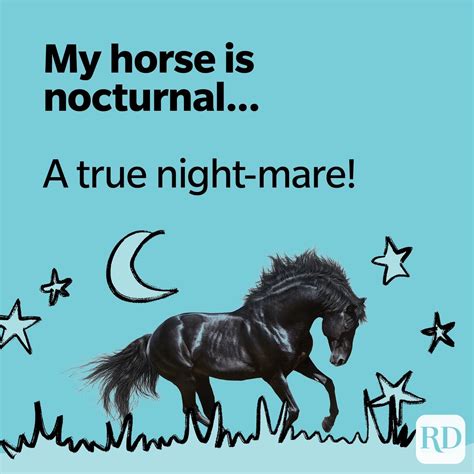 30 Horse Puns | Reader's Digest