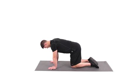 Quadruped to Half-Kneeling Transitions | Functional Movement Systems