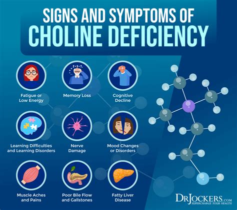 Choline: Signs of Deficiency, Benefits, and Food Sources - DrJockers.com