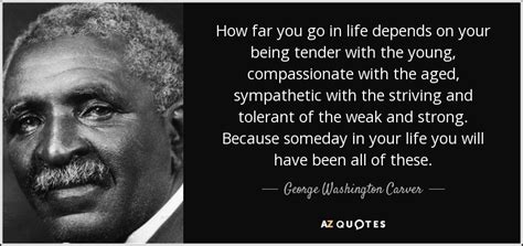 TOP 25 QUOTES BY GEORGE WASHINGTON CARVER (of 76) | A-Z Quotes