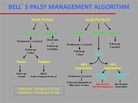 slsi.lk - how long for sulfatrim to work | Role of antiviral in bells ...