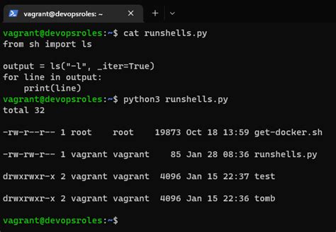 How to run shell commands in Python - DevopsRoles.com Better 2024