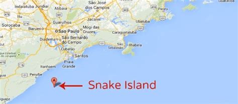 Snake Island Brazil Map