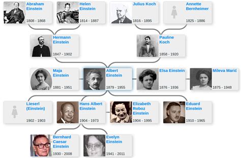 Albert Einstein’s family tree - Blog for Entitree