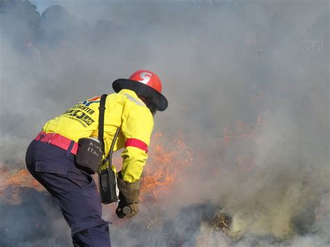 Working on Fire firefighters put out fires near the Camden Power ...