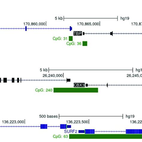 UCOES are characterised by a CpG island. Screenshots of the UCSC genome ...