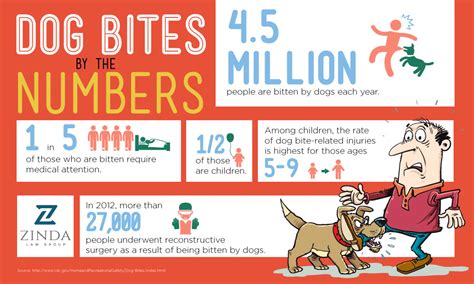 Dog Bite Statistics | Zinda Law Group PLLC