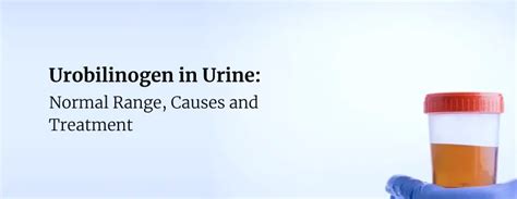 Urobilinogen in Urine: Normal Range, Causes and Treatment