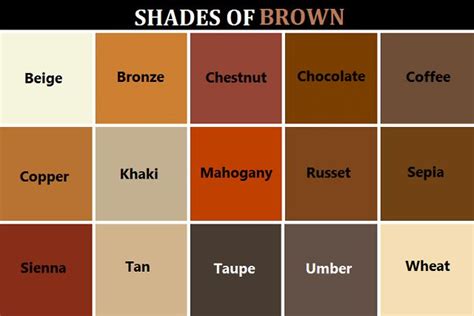 Shades of brown - http://goddessofsax.tumblr.com/post/90618952551/heres ...