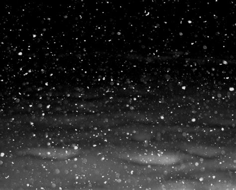 Snow Falling At Night Wallpaper