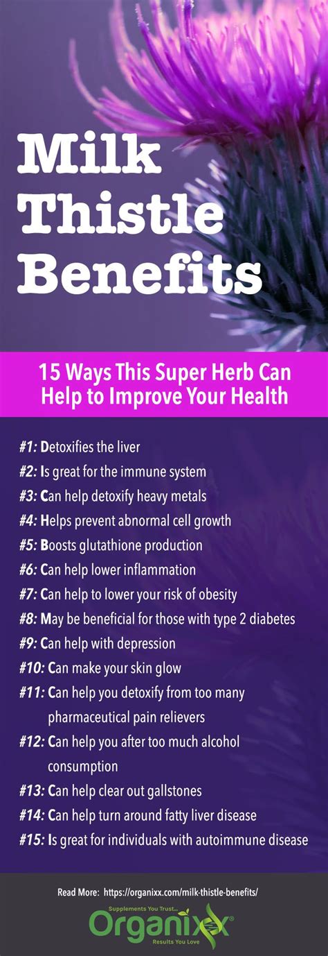 15 milk thistle benefits infographic | Milk thistle benefits, Milk ...