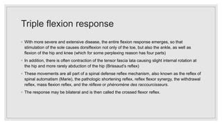 plantar reflex.pptx