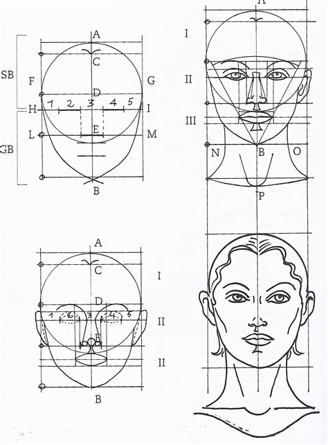 How To Draw A Golden Ratio Face at How To Draw