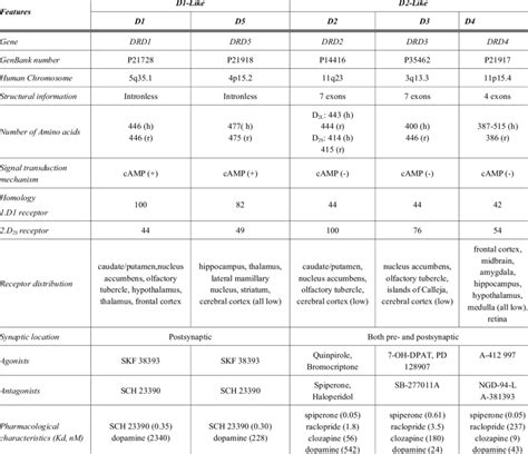 Classification and Pharmacological Characteristics of Dopamine ...