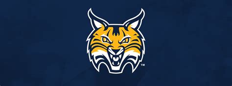 QUINNIPIAC UNIVERSITY | SPORTS LOGOS & BRANDING / SLAVO KISS